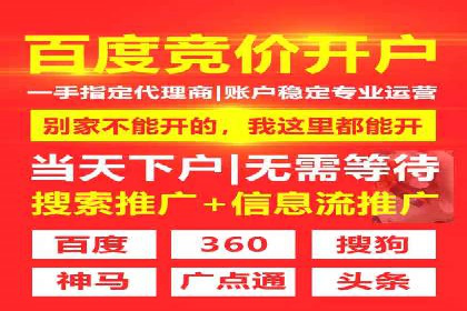 Sem优化公司案例：优化方案定制服务